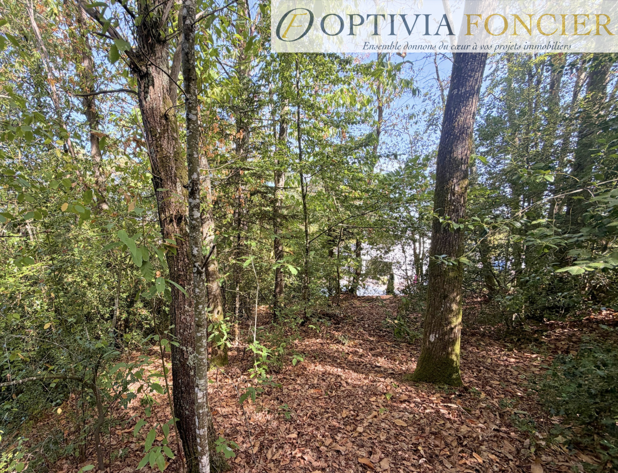 Terrain constructible à vendre à Guichen, 900 m² – photo 1 sur 9