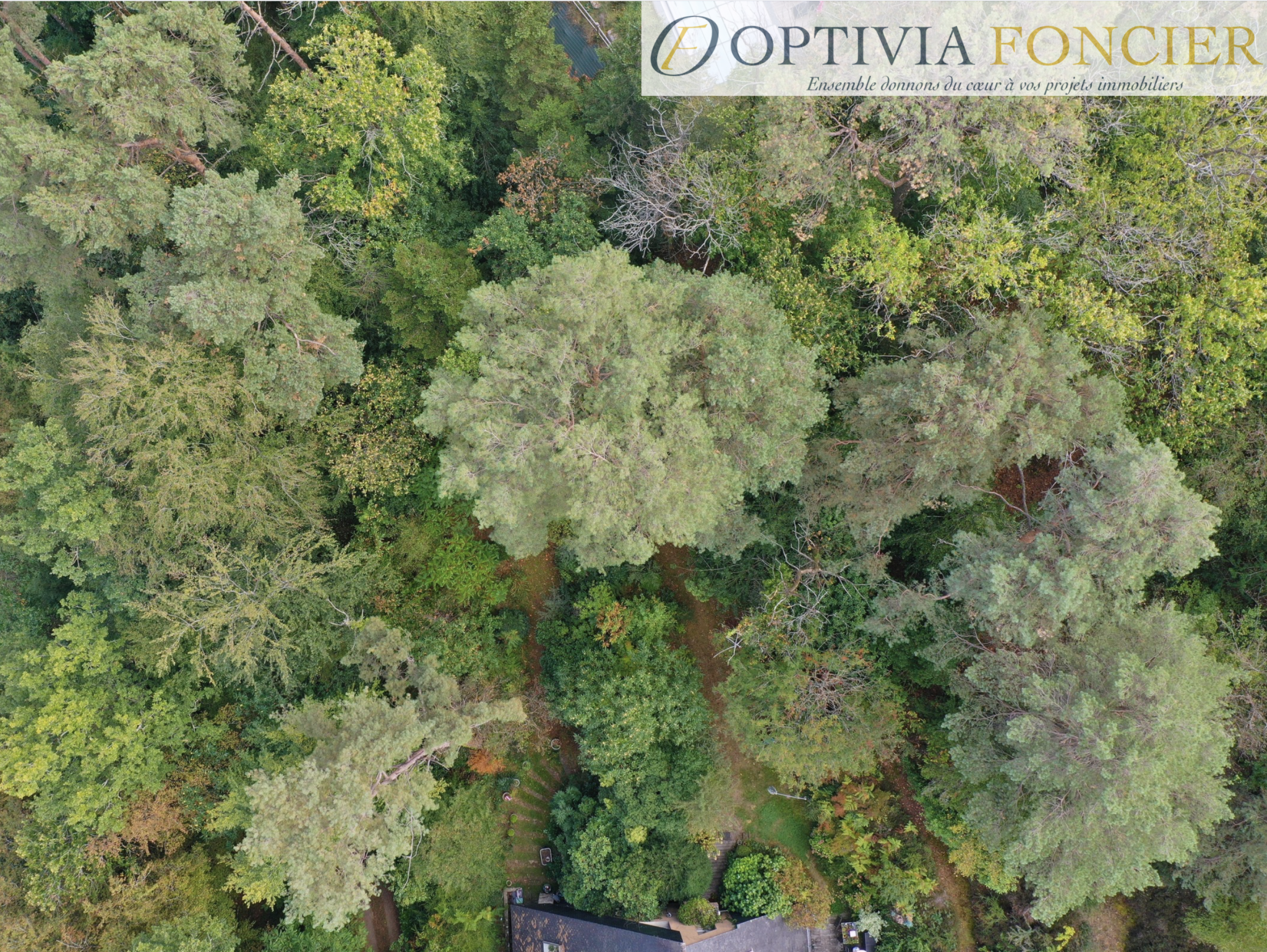 Terrain constructible à vendre à Guichen, 900 m² – photo 2 sur 9
