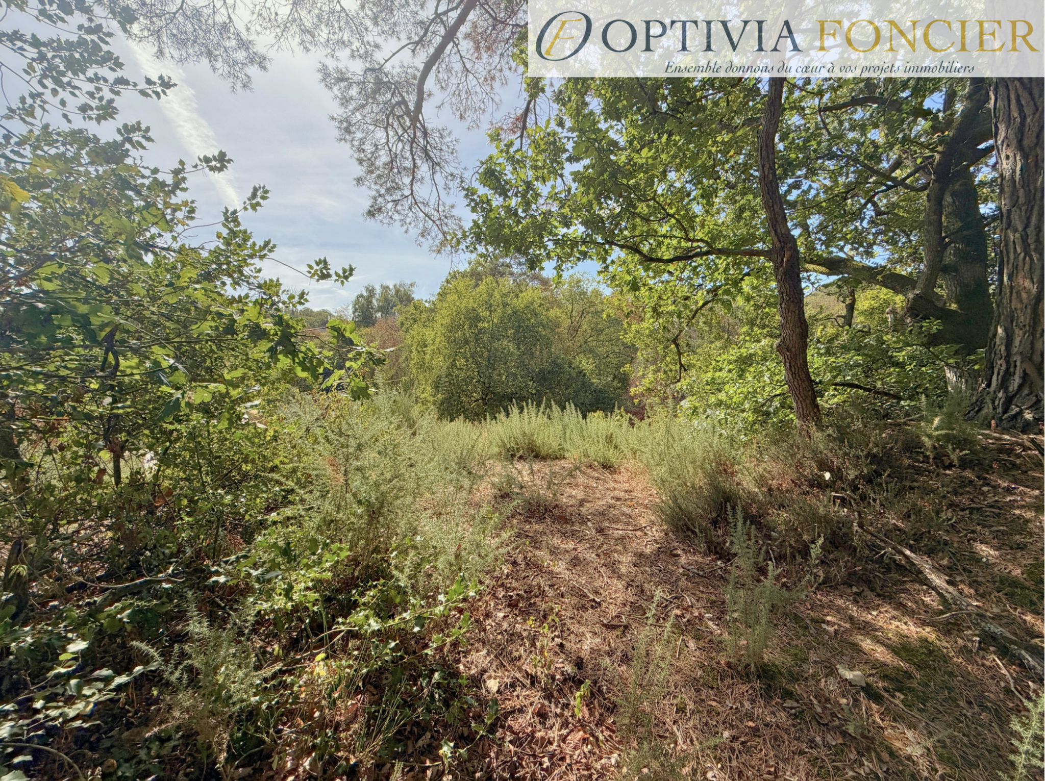 Terrain constructible à vendre à Guichen, 900 m² – photo 3 sur 9