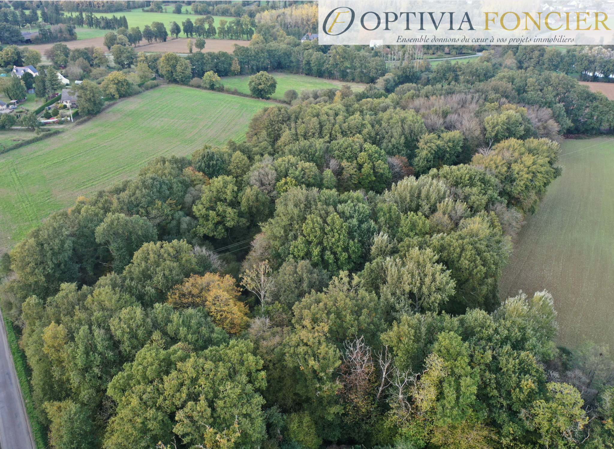 Terrain à vendre à Guignen, 9 974 m² – photo 3 sur 5