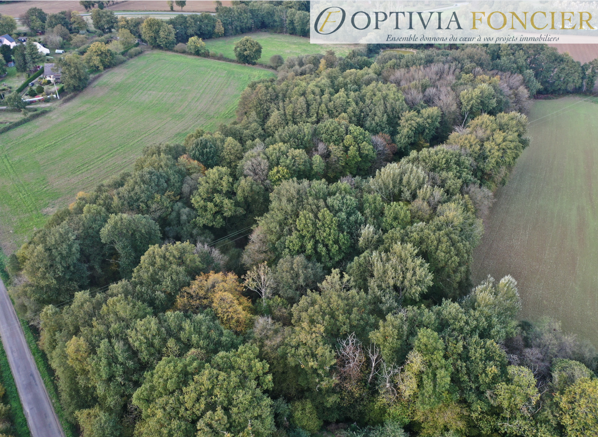 Terrain à vendre à Guignen, 9 974 m² – photo 1 sur 5