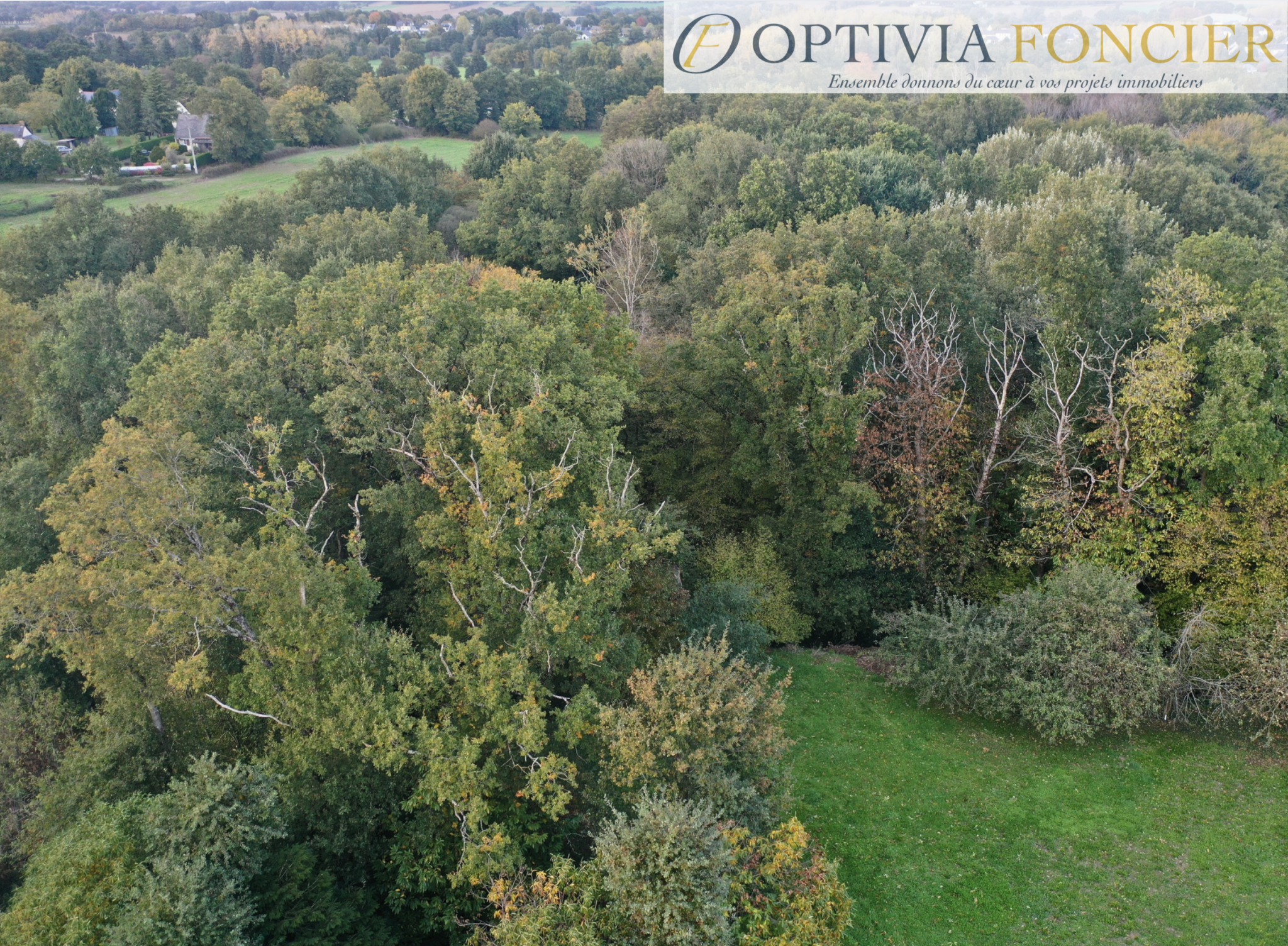 Terrain à vendre à Guignen, 9 974 m² – photo 2 sur 5